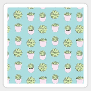 Suculents in flowerpots on mint blue backround Sticker